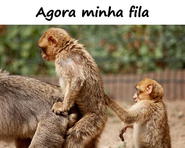 Agora minha fila