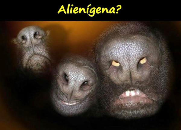 Alienígena