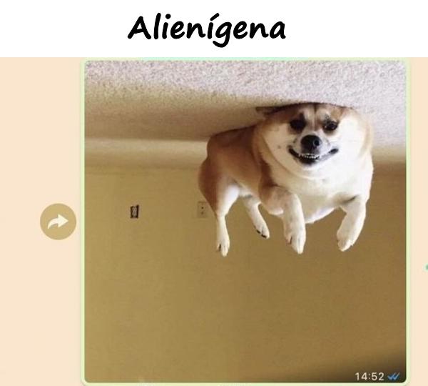 Alienígena