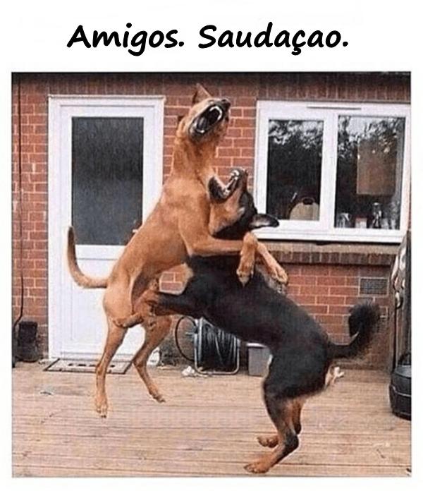 Amigos. Saudação