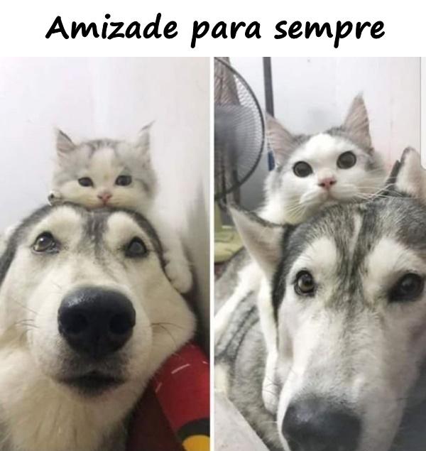 Amizade para sempre