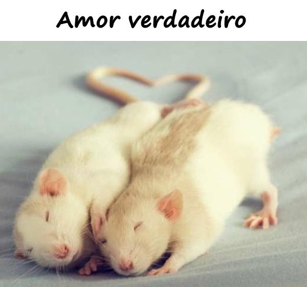 Amor verdadeiro