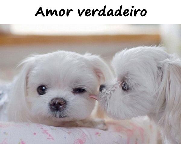 Amor verdadeiro