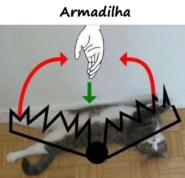 Armadilha