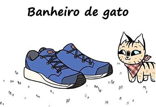 Banheiro de gato