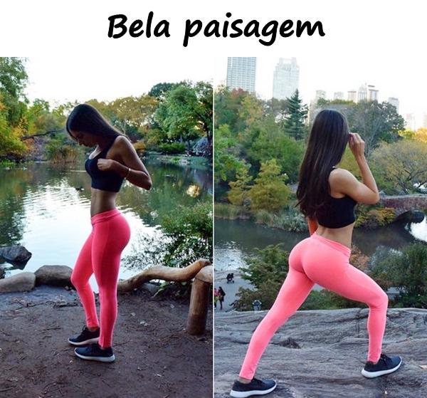 Bela paisagem