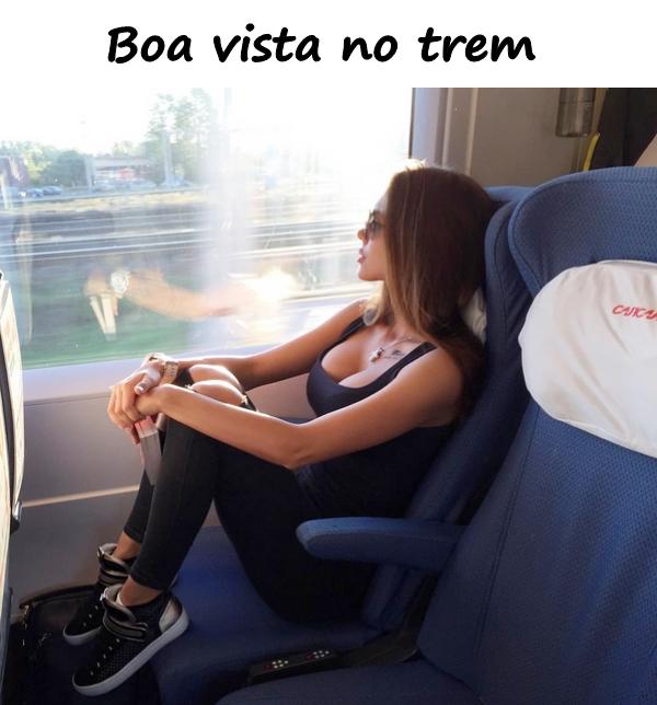 Boa vista no trem