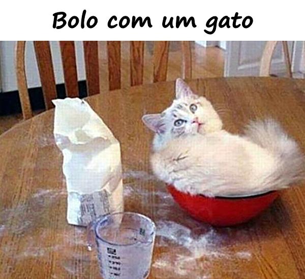 Bolo com um gato