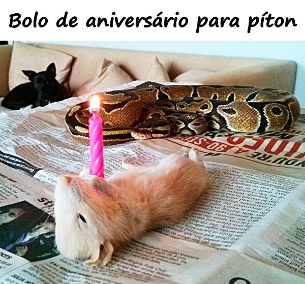 Bolo de aniversário para píton