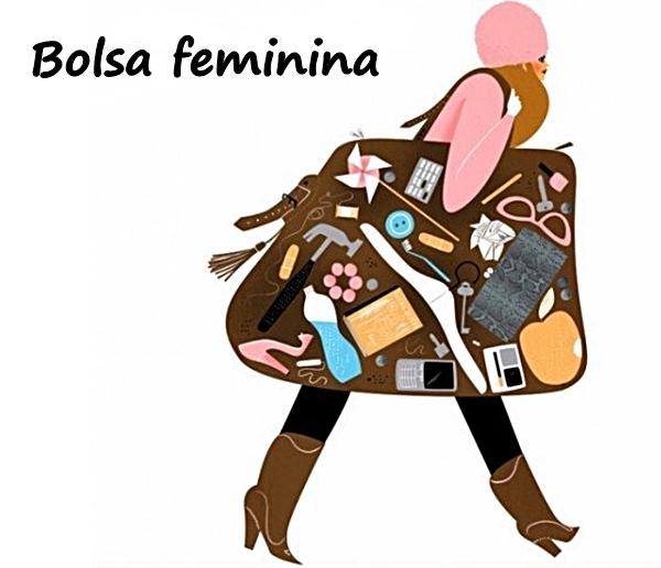 Bolsa feminina