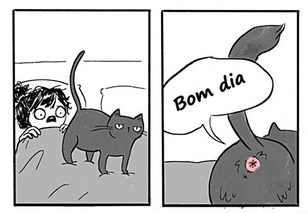 Bom dia