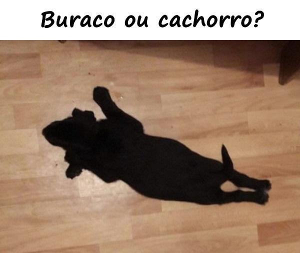 Buraco ou cachorro