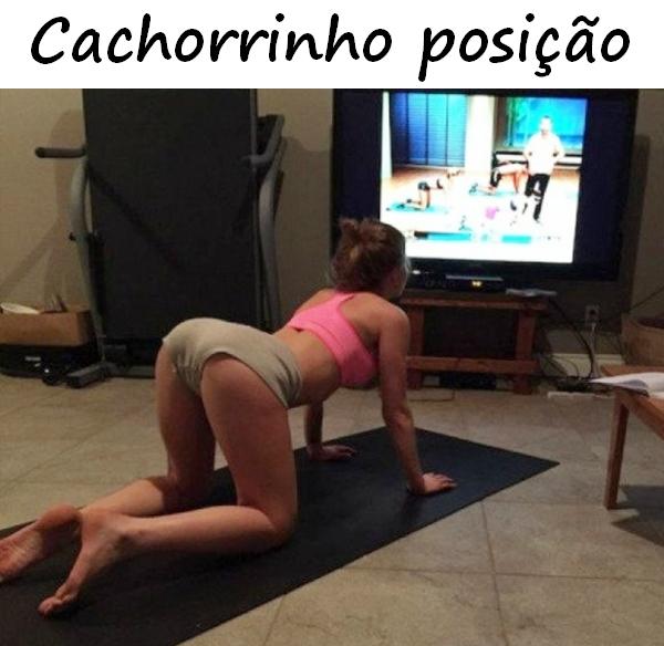 Cachorrinho posição