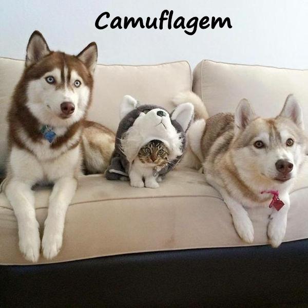 Camuflagem