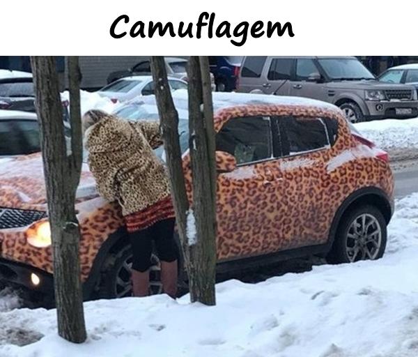 Camuflagem