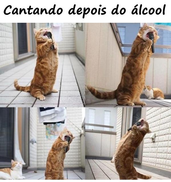 Cantando depois do álcool