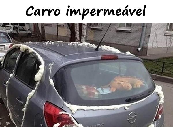 Carro impermeável