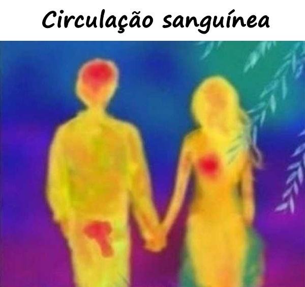 Circulação sanguínea