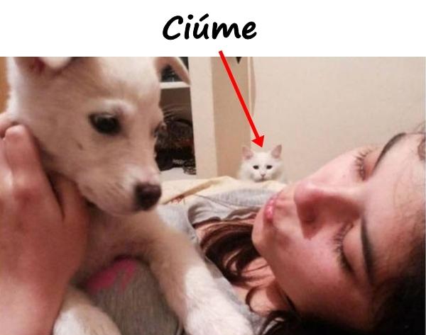 Ciúme