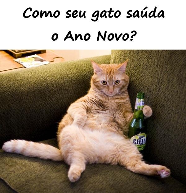 Como seu gato saúda o Ano Novo