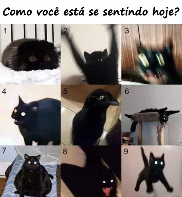 Como você está se sentindo hoje