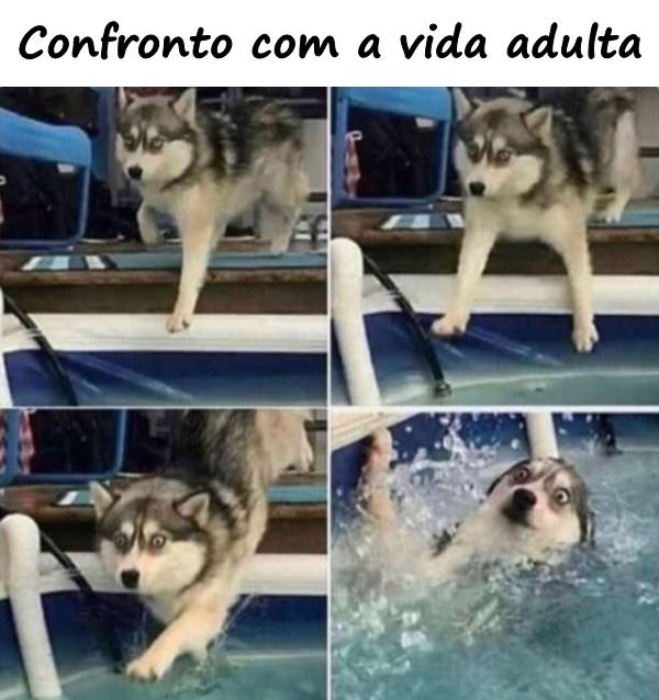 Confronto com a vida adulta