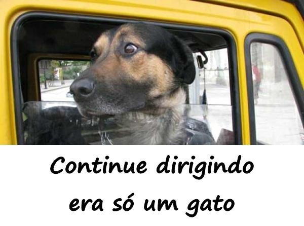 Continue dirigindo era só um gato