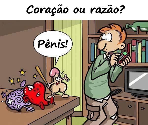 Coração ou razão? Pênis