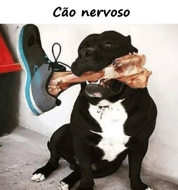 Cão nervoso