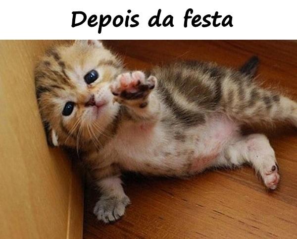 Depois da festa