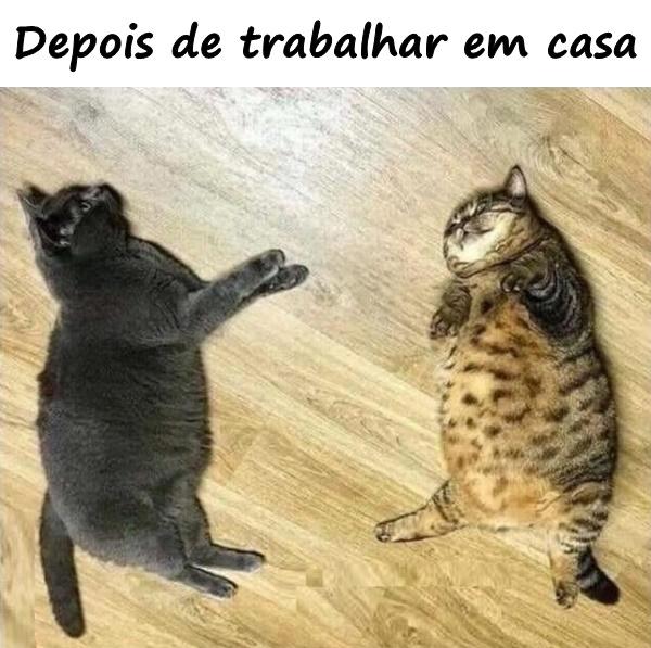 Depois de trabalhar em casa