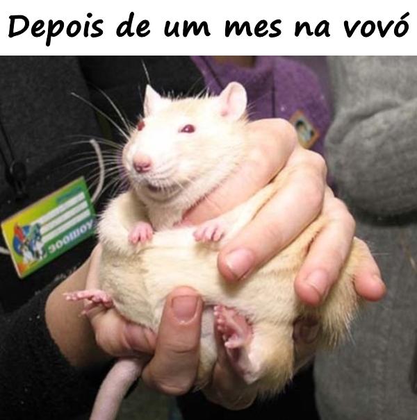 Depois de um mês na vovó