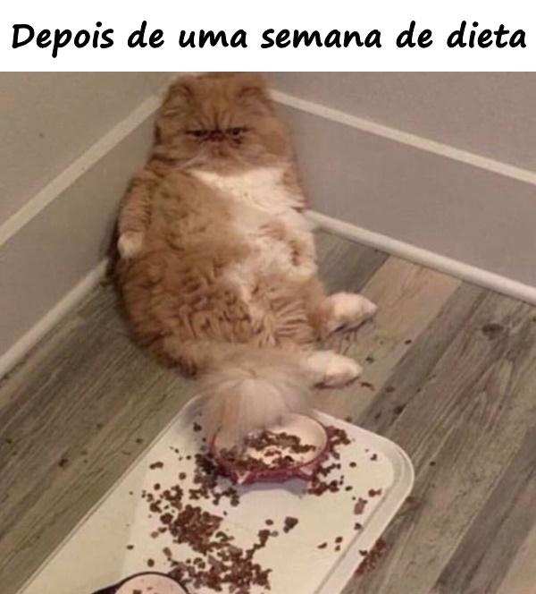 Depois de uma semana de dieta