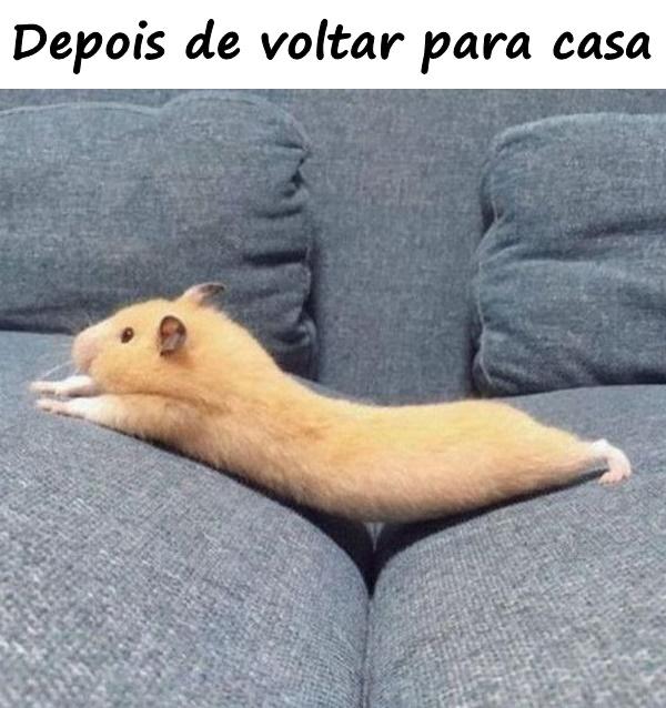 Depois de voltar para casa