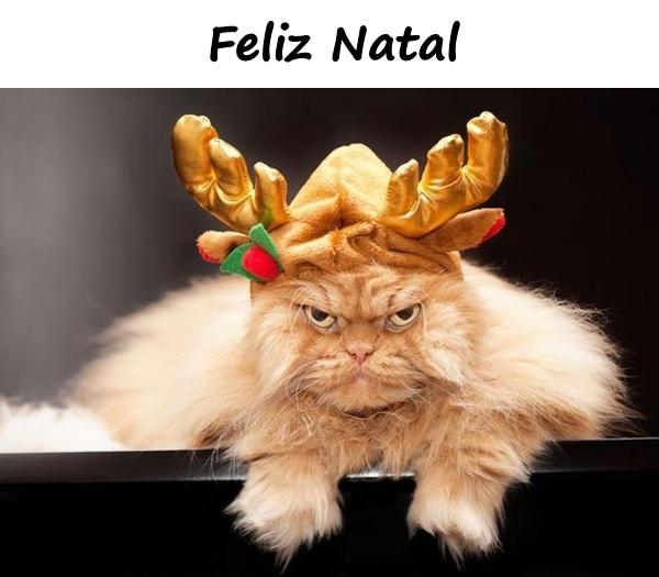 Desejos de Natal - Feliz Natal