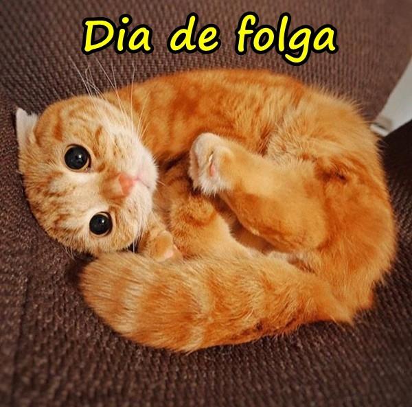 Dia de folga