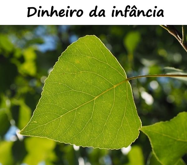 Dinheiro da infância