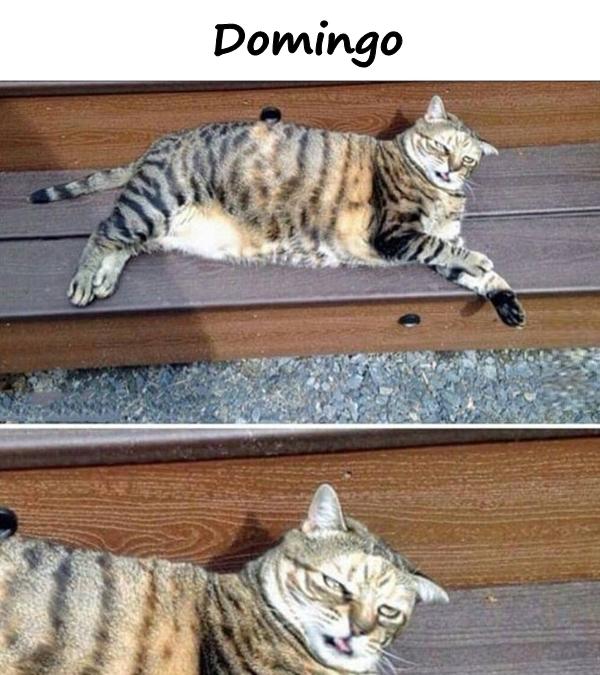 Domingo