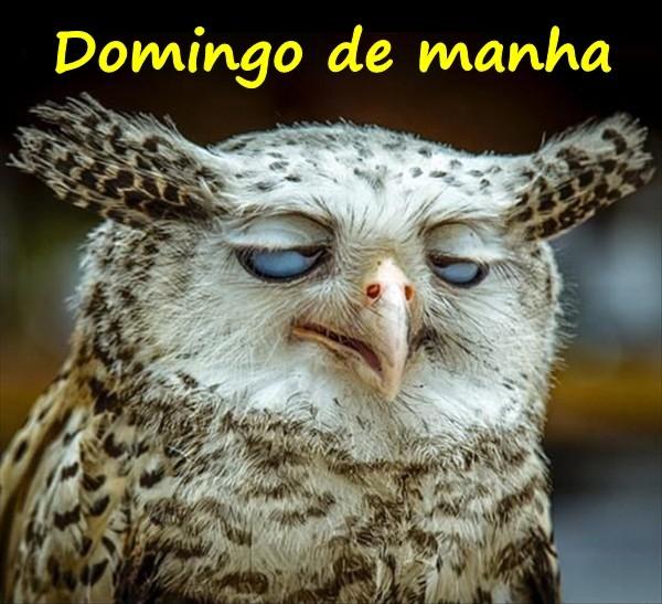 Domingo de manha