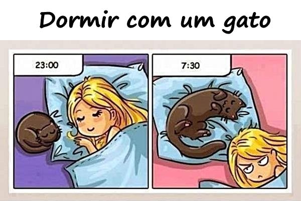 Dormir com um gato