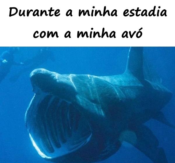 Durante a minha estadia com a minha avó