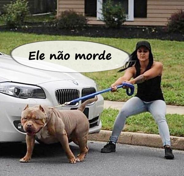 Ele não morde