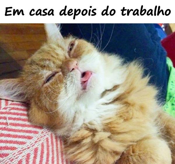 Em casa depois do trabalho