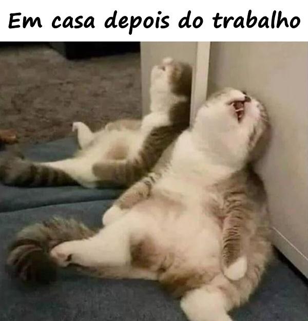 Em casa depois do trabalho