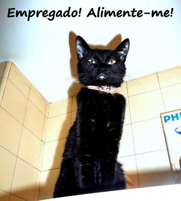 Empregado! Alimente-me