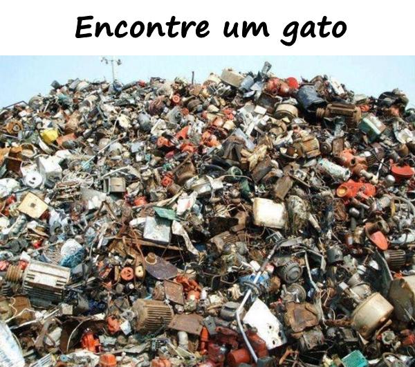 Encontre um gato