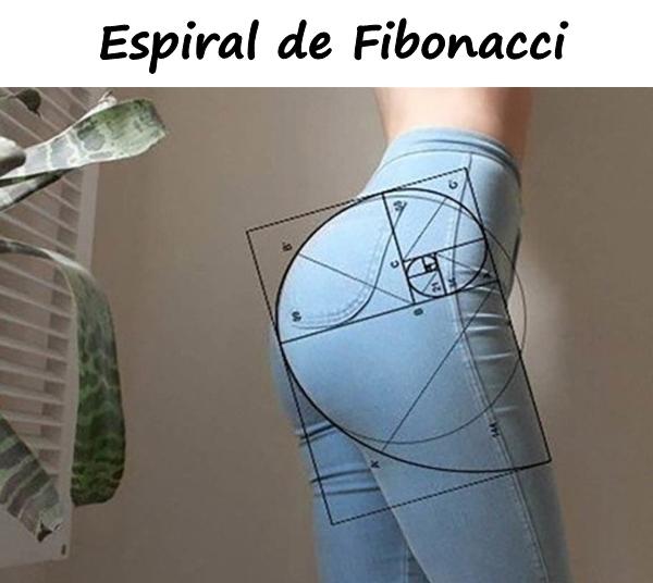 Espiral de Fibonacci