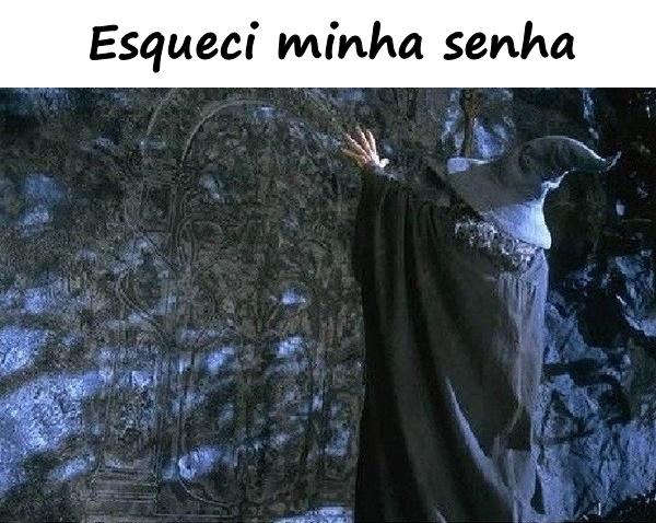 Esqueci minha senha