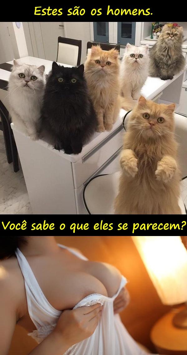 Estes são os homens. Você sabe o que eles se parecem