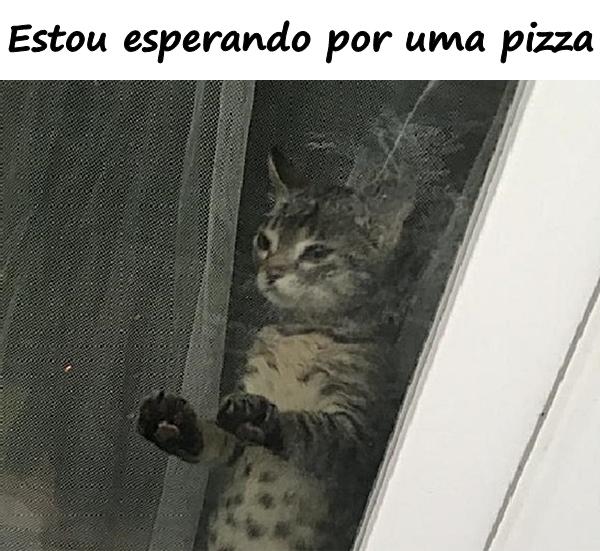 Estou esperando por uma pizza